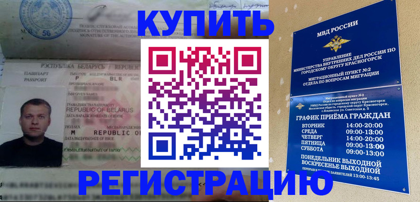 прописка законно в Коле